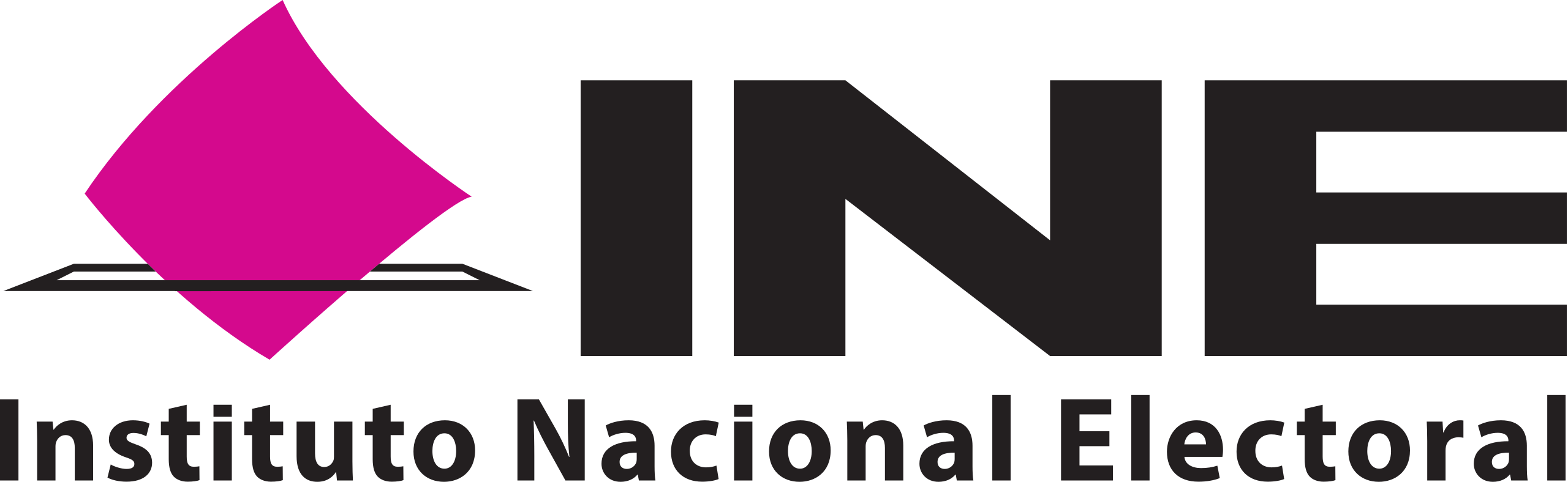 INE - Instituto Nacional Electoral